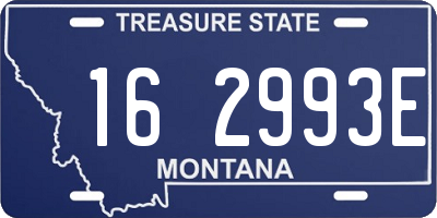 MT license plate 162993E