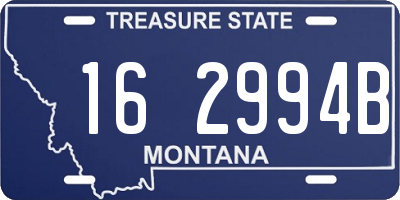 MT license plate 162994B