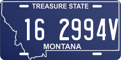 MT license plate 162994V