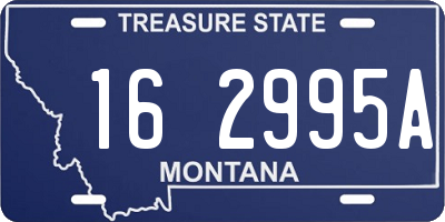MT license plate 162995A