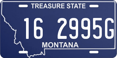 MT license plate 162995G