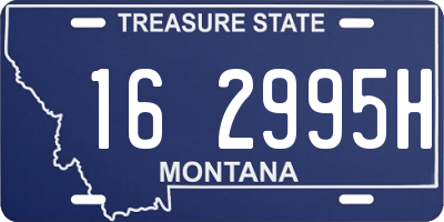 MT license plate 162995H