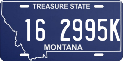 MT license plate 162995K
