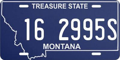 MT license plate 162995S
