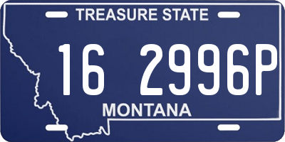MT license plate 162996P
