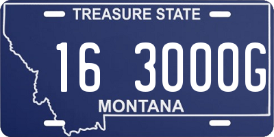 MT license plate 163000G