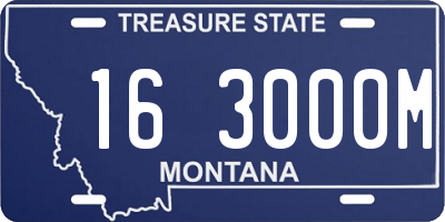 MT license plate 163000M