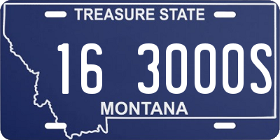 MT license plate 163000S