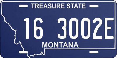 MT license plate 163002E