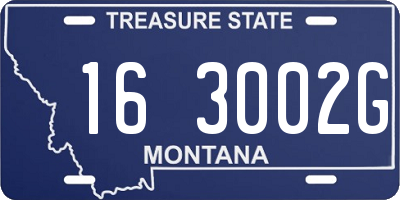 MT license plate 163002G