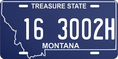 MT license plate 163002H