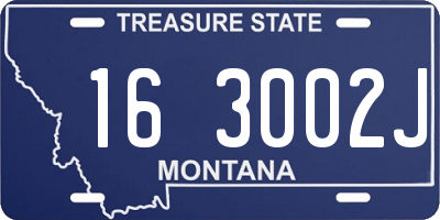 MT license plate 163002J