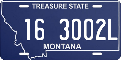 MT license plate 163002L