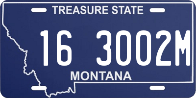 MT license plate 163002M