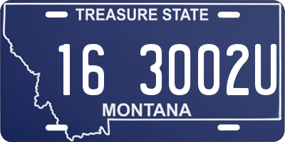 MT license plate 163002U
