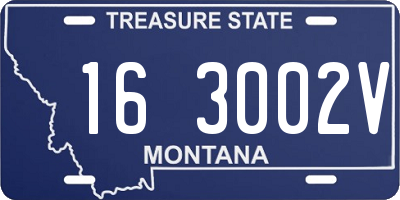 MT license plate 163002V