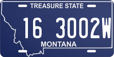 MT license plate 163002W