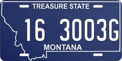 MT license plate 163003G
