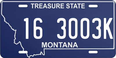 MT license plate 163003K