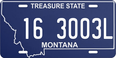 MT license plate 163003L