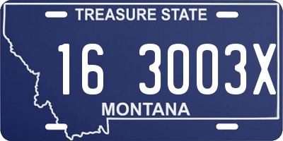 MT license plate 163003X