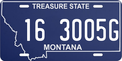 MT license plate 163005G