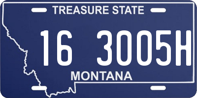 MT license plate 163005H