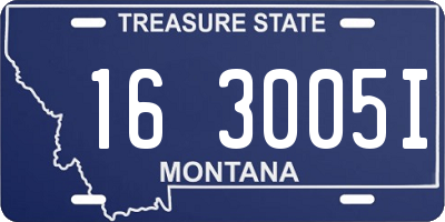 MT license plate 163005I