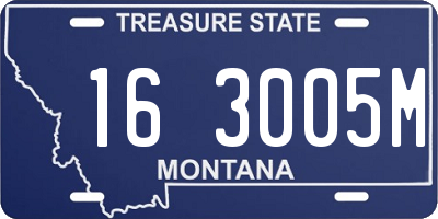 MT license plate 163005M