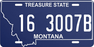 MT license plate 163007B