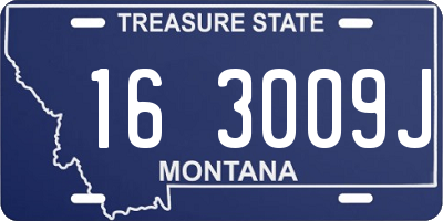 MT license plate 163009J