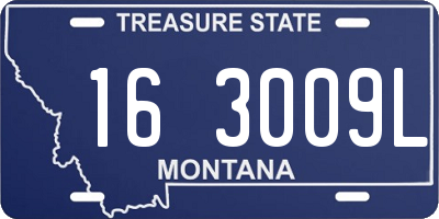 MT license plate 163009L