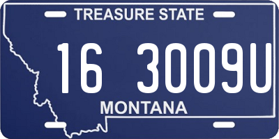 MT license plate 163009U