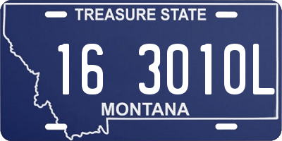 MT license plate 163010L