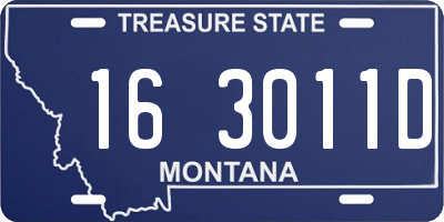 MT license plate 163011D