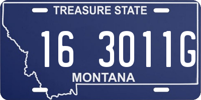 MT license plate 163011G