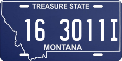 MT license plate 163011I