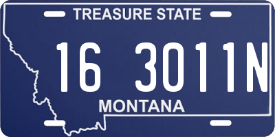 MT license plate 163011N