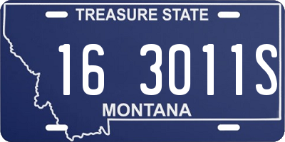 MT license plate 163011S