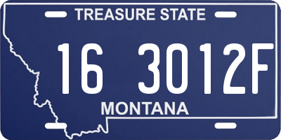 MT license plate 163012F
