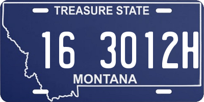 MT license plate 163012H