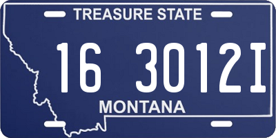 MT license plate 163012I