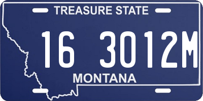 MT license plate 163012M