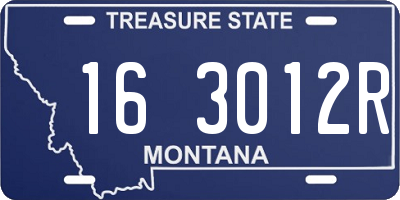 MT license plate 163012R