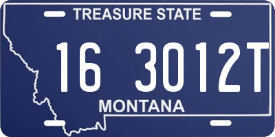 MT license plate 163012T