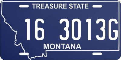MT license plate 163013G