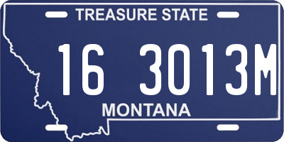 MT license plate 163013M