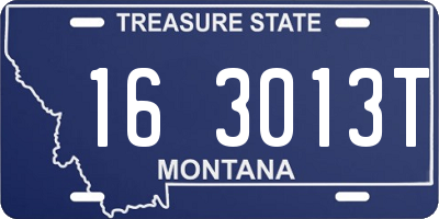 MT license plate 163013T