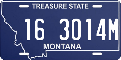 MT license plate 163014M