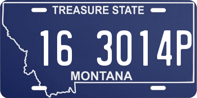 MT license plate 163014P